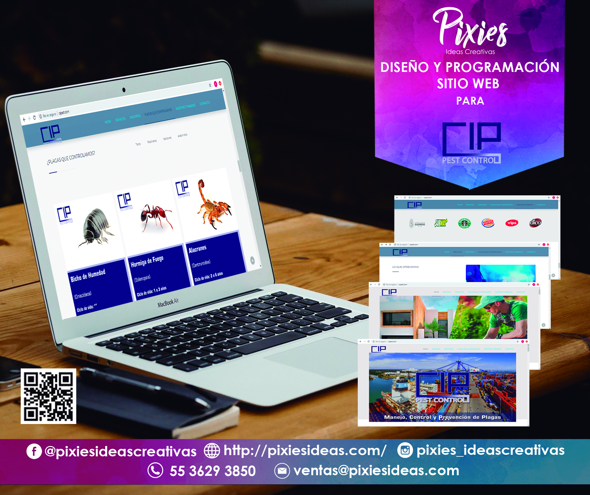 WEB CIP